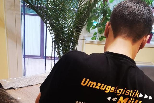 Laborumzug Schönberg stressfrei umziehen 
